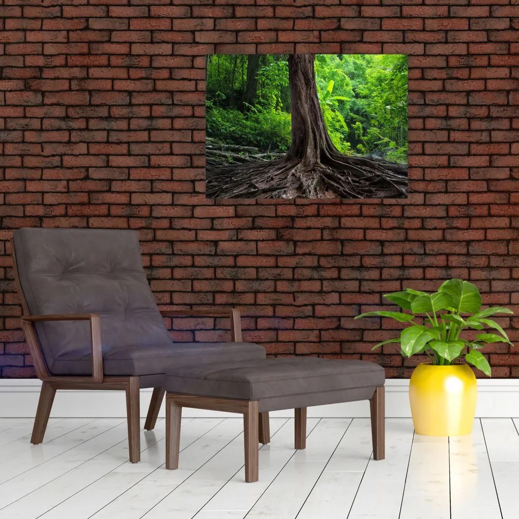 Tablou pe sticlă - Copac bătrîn cu rădăcini (70x50 cm)