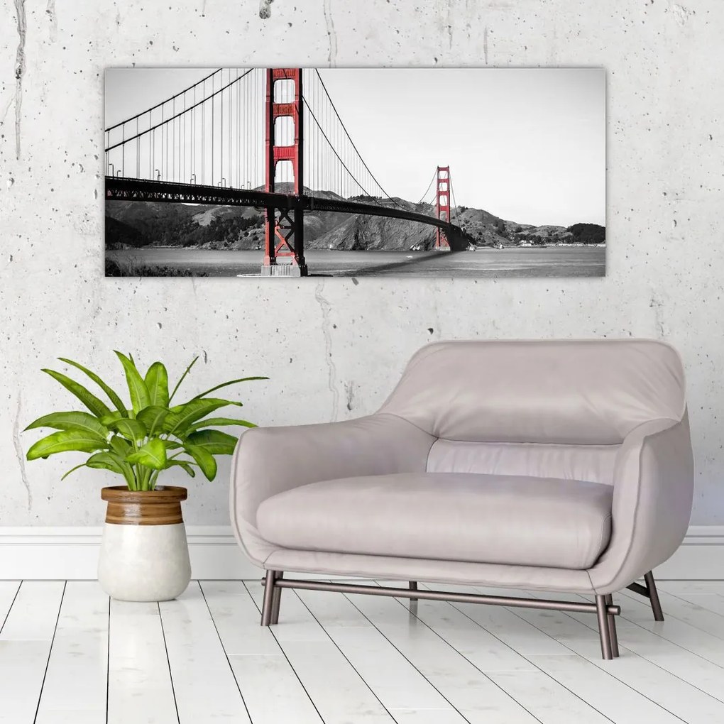 Tablou cu pod (120x50 cm)