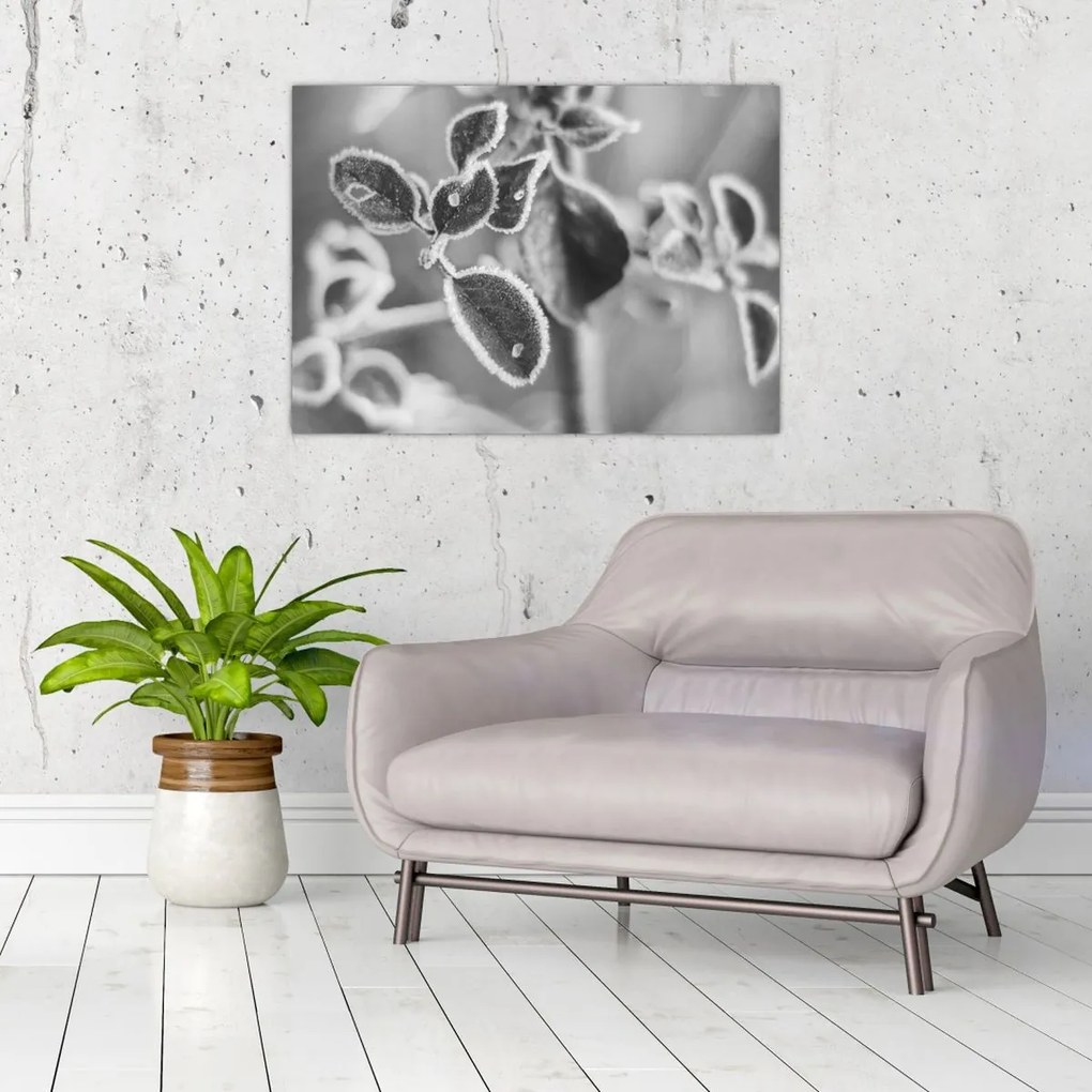 Tablou - Natura în toamnă (70x50 cm)