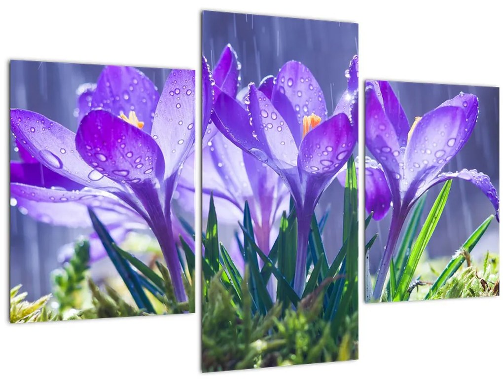 Tablou cuflori în ploaie (90x60 cm)