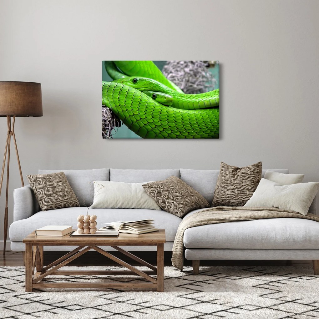 Tablou cu șerpi verzi (90x60 cm)