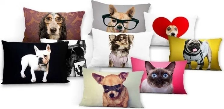 Perna moderna Cool Dog 40x40