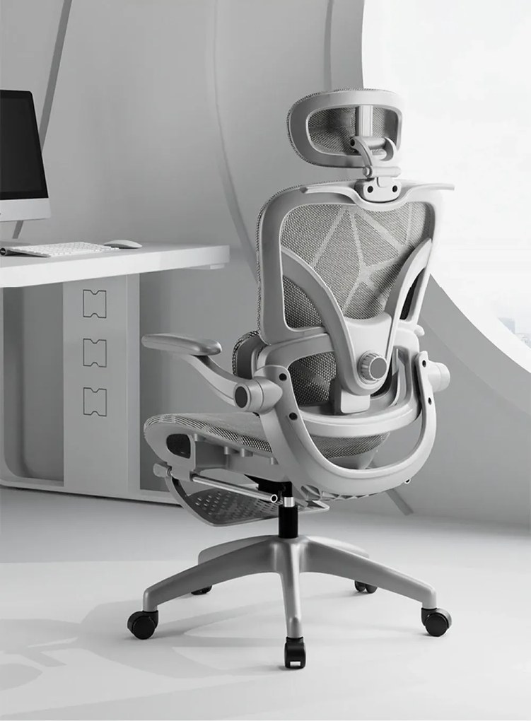ErgoVision Pro – Scaun Ergonomic, Suport Lombar Reglabil, Umeras, Cotiere Rabatabile, Suport pentru Picioare, Mesh, Gri