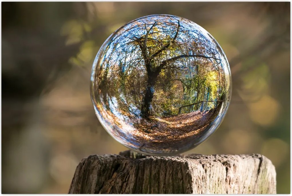 Tablou - Reflecție intr-o sferă transparentă (90x60 cm)