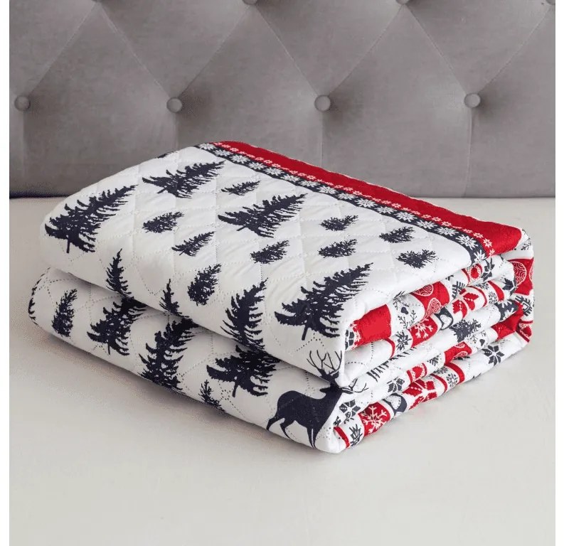 Cuvertura de pat cu model TWINKLE CHRISTMAS, colorat Dimensiune: 170 x 210 cm