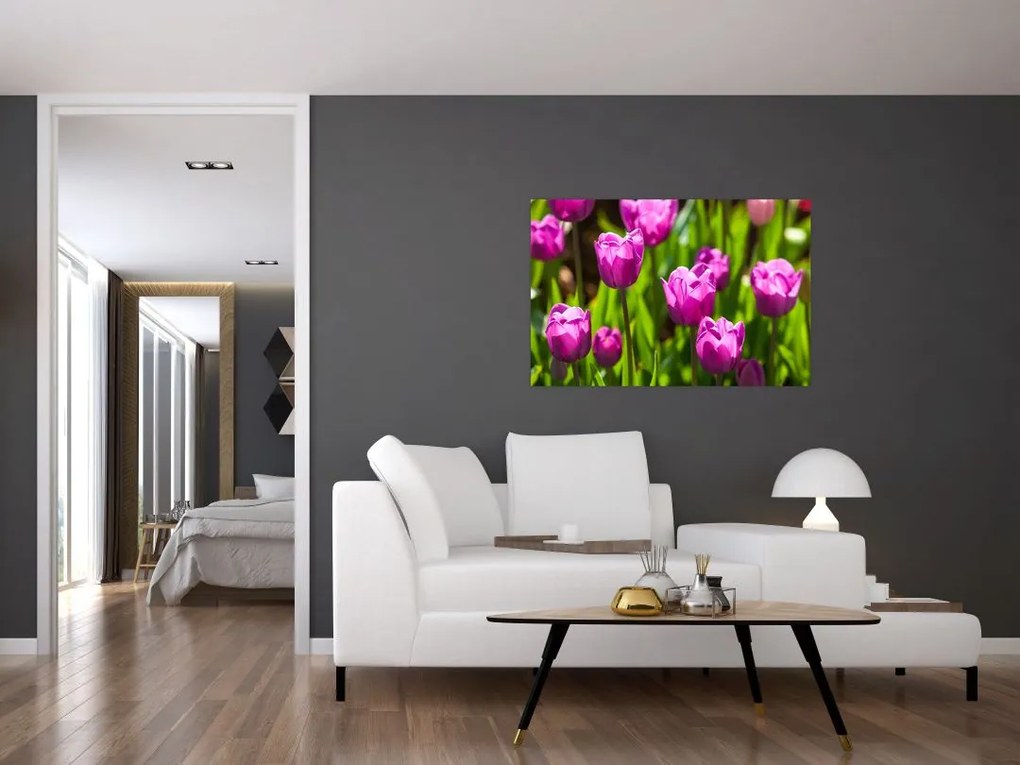 Tablou cu lale pe luncă (90x60 cm)