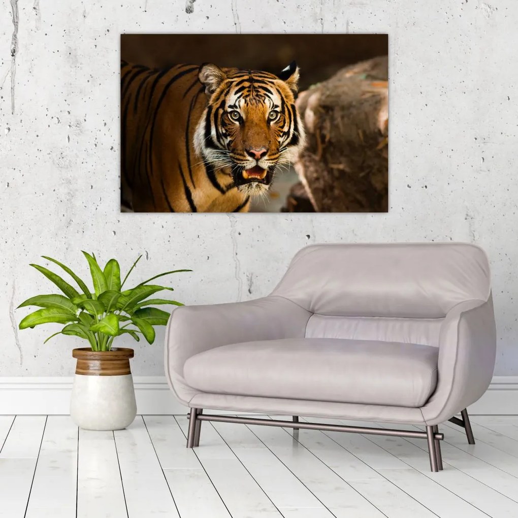 Tablou cu tigrul (90x60 cm)