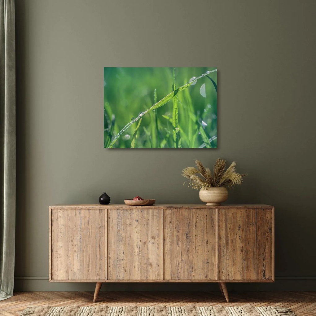 Tablou pe sticlă cu picături de rouă (70x50 cm)