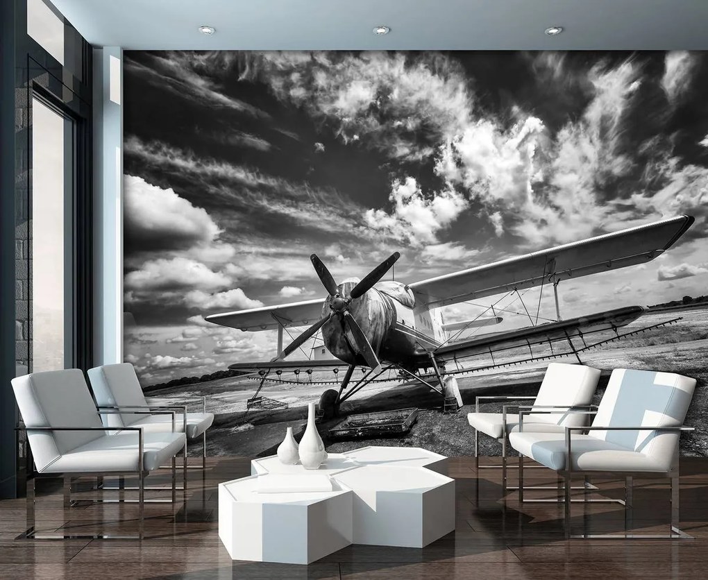 Fototapet - Avion (152,5x104 cm)