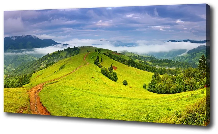 Tablouri tipărite pe pânză Dealuri verzi
