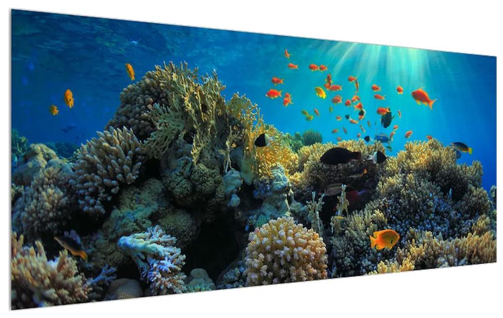 Tablou cu lumea submarină (120x50 cm), în 40 de alte dimensiuni noi