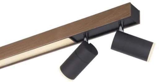 Spot LED dimabil Paul Neuhaus 6121-79 PURE 4xLED/4W/230V + LED/9W + telecomandă