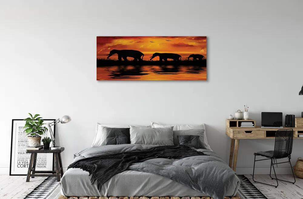 Tablouri canvas elefanți West Lake