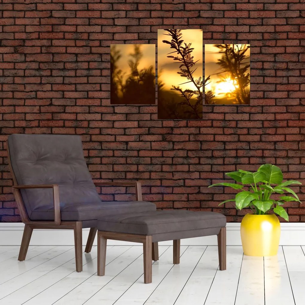 Tablou - Apus de soare (90x60 cm)