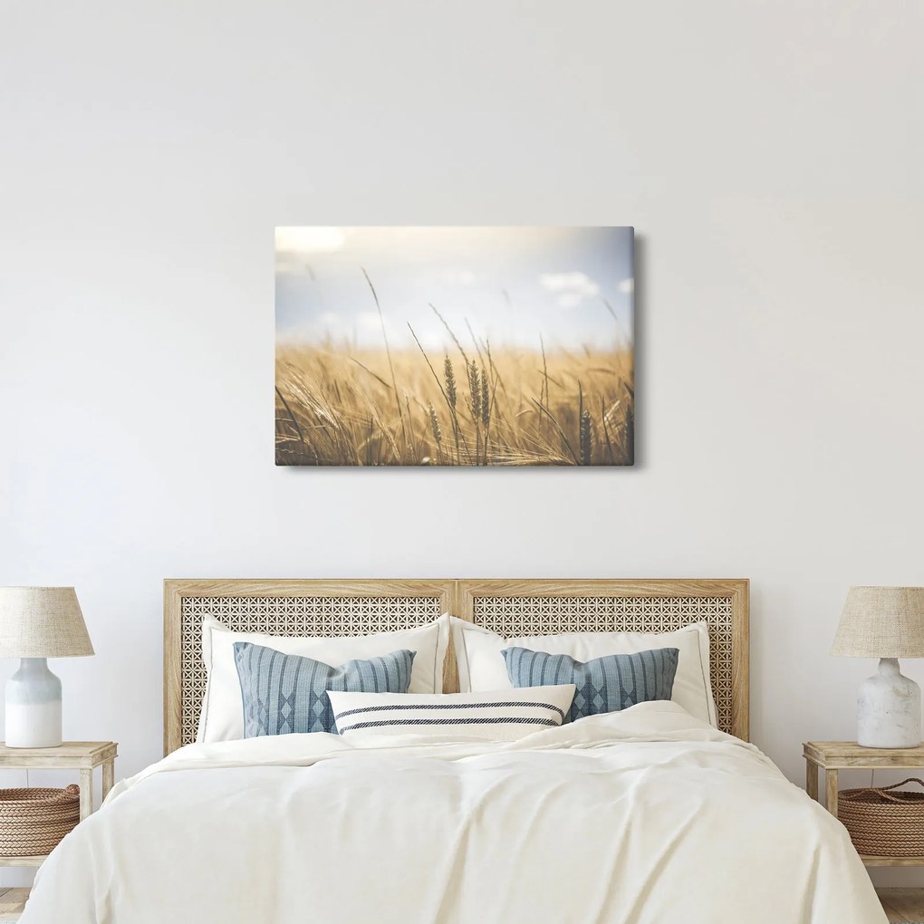 Tablou cu grâne (90x60 cm)