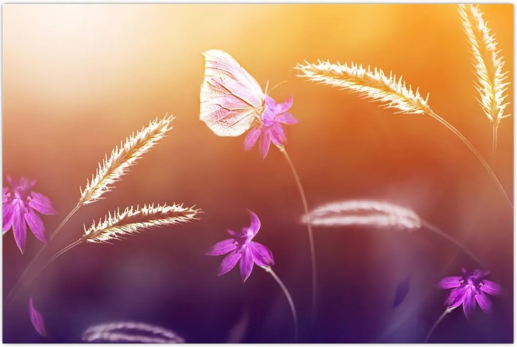 Tablou - Fluture roz (90x60 cm)