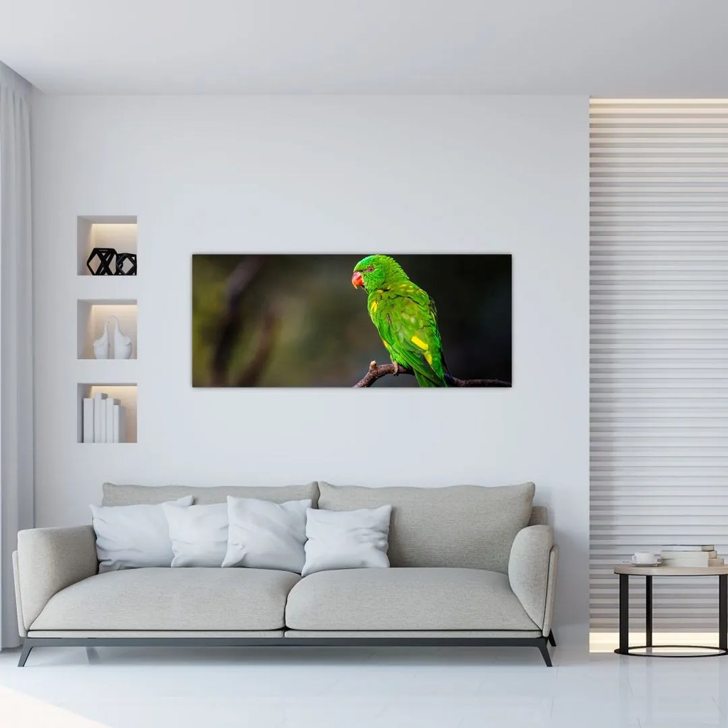 Tablou cu papagal pe greangă (120x50 cm)