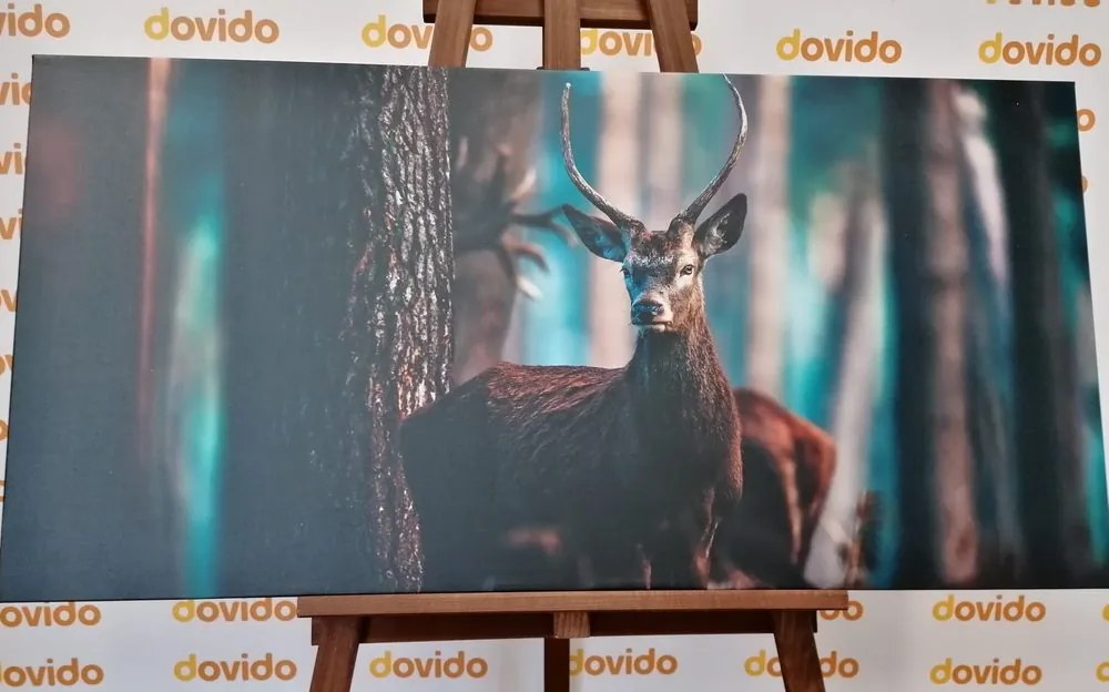 Tablou cerb în pădure