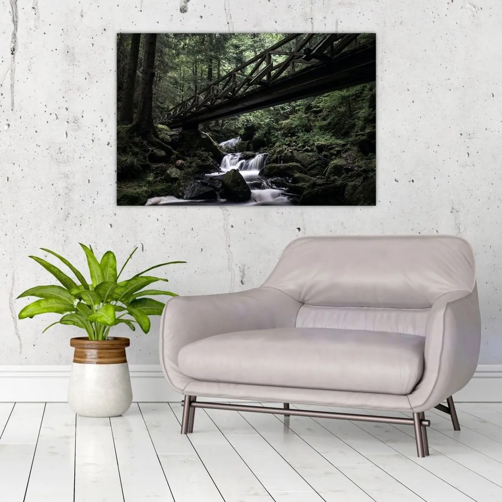 Tablou din pădurea neagră (90x60 cm)