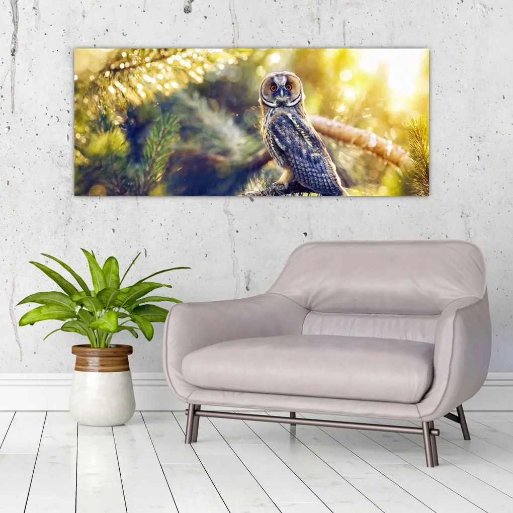 Tablou - Bufniță în copac (120x50 cm)