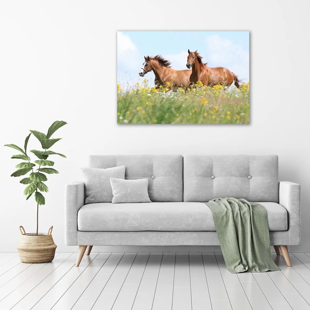 Tablou pe pânză canvas Doi cai în galop