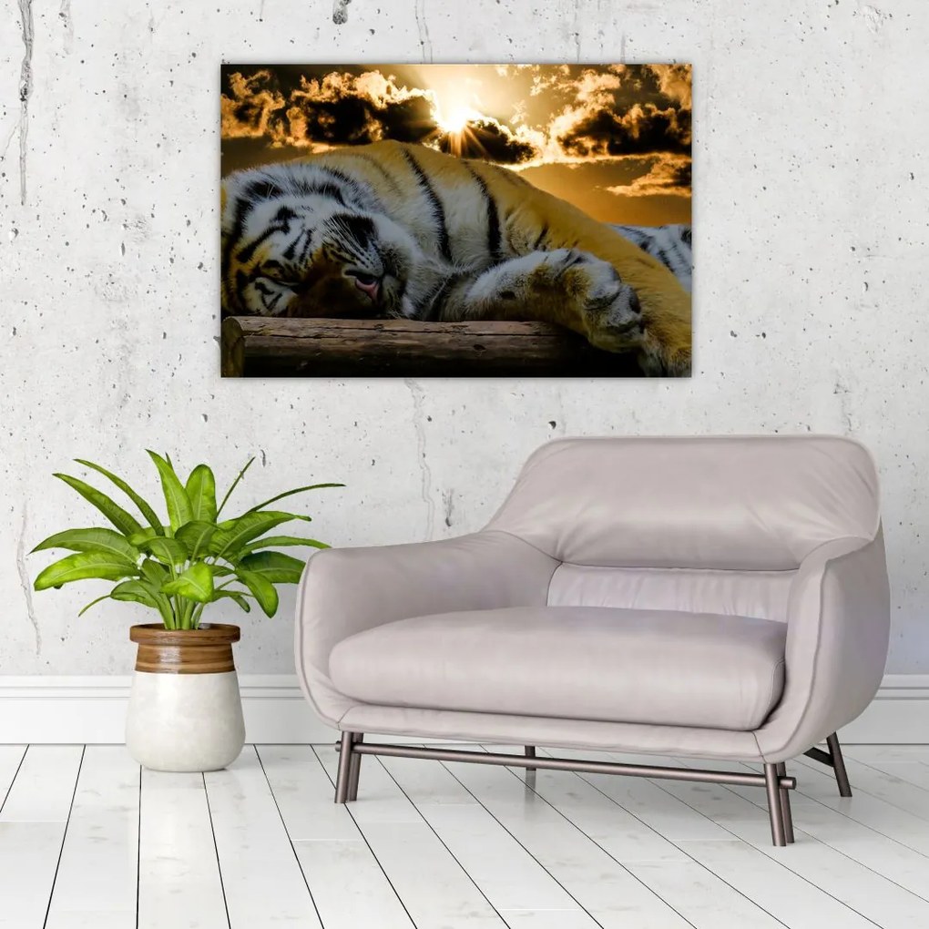Tablou tigrul dormind (90x60 cm)