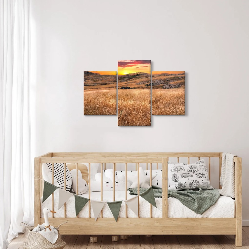 Tablou cu câmp (90x60 cm)