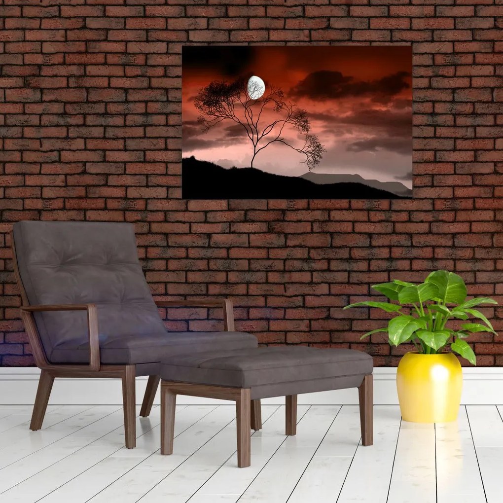 Tablou - Luna luminează noaptea (90x60 cm)