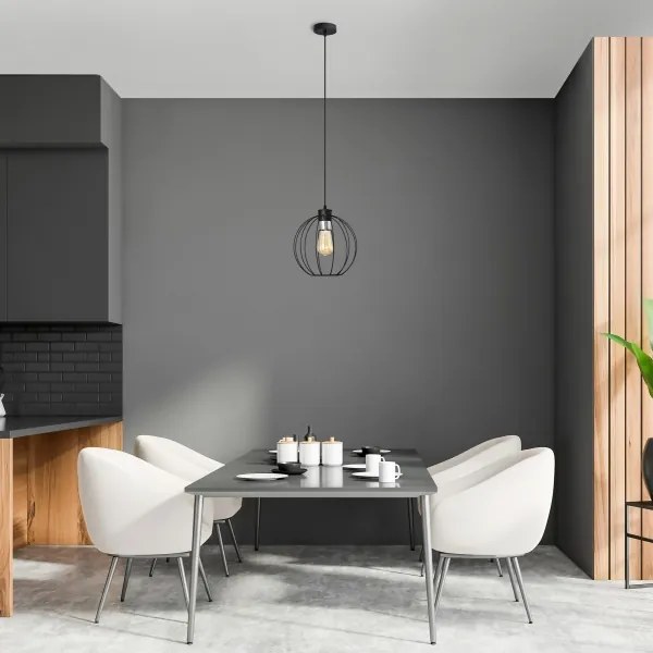 Lustră pe cablu STARLIGHT 1xE27/15W/230V neagră/argintie