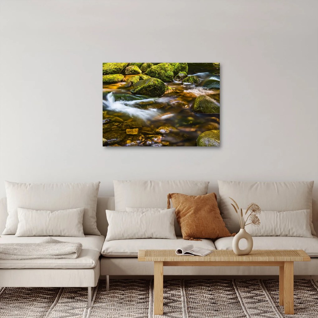 Tablou cu părâu (70x50 cm)