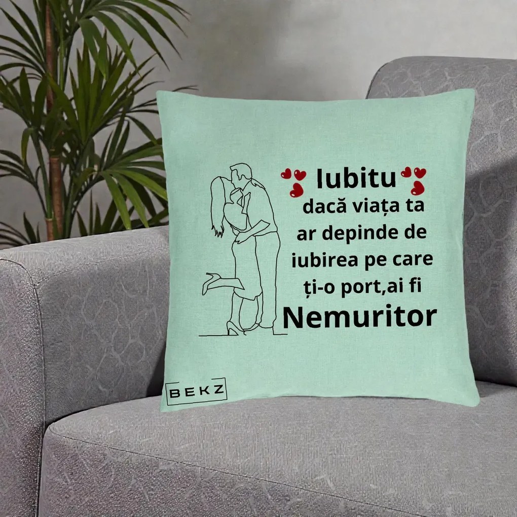 Cadou pentru Iubit - Perna Personalizata Iubitu Nemuritor cu Cuplu Line-Art si Inimi Rosii, 40x40 cm, Verde Menta, Husa Detasabila, Perna Inclusa, BEKZ®