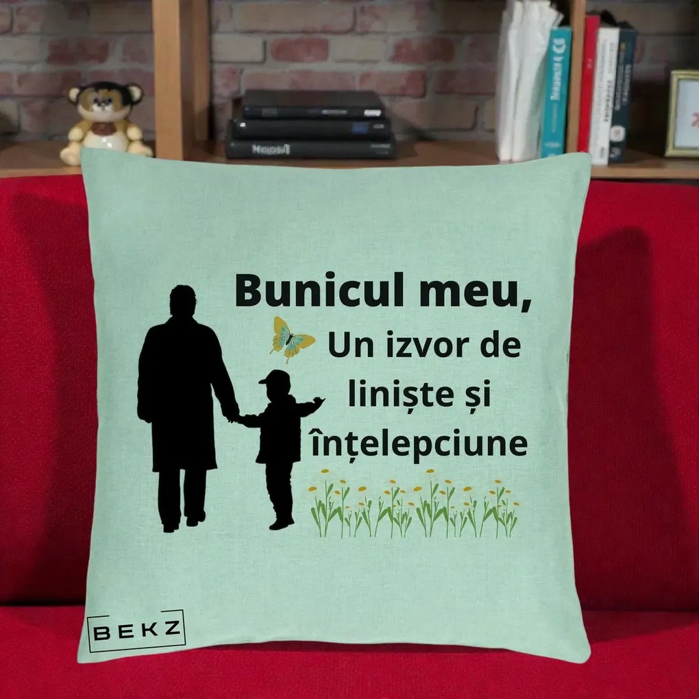 Cadou pentru Bunic - Perna Personalizata Bunicul Meu Izvor de Liniste cu Fluture si Baietel, 40x40 cm, Verde Menta, Husa Detasabila, Perna Inclusa, BEKZ®