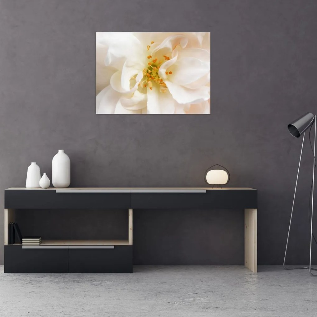 Tablou - Floare (70x50 cm)