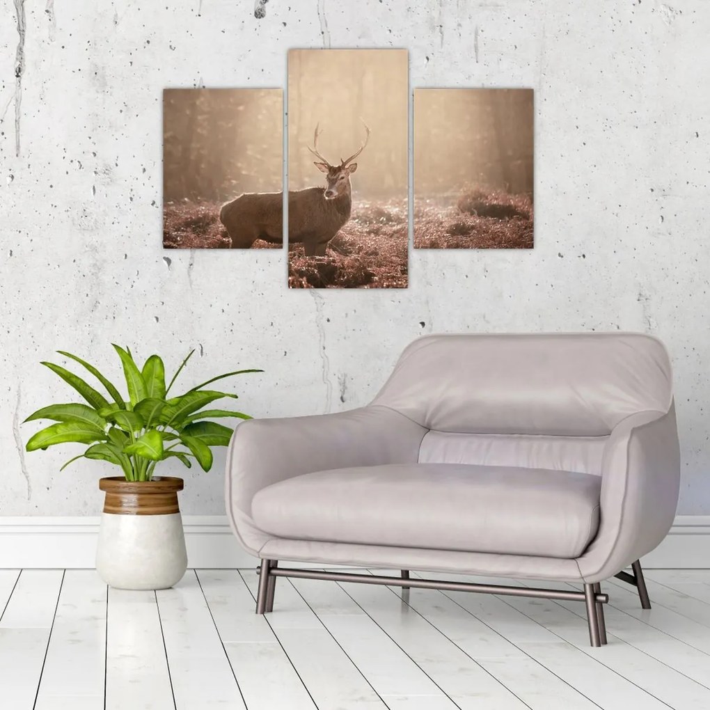 Tablou - Cerb în pădure (90x60 cm)