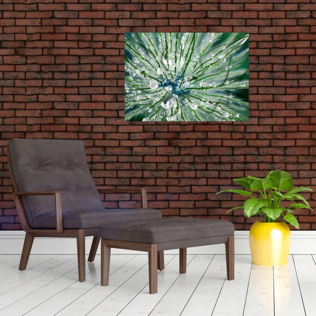 Tablou - Imagine macro a unei flori (70x50 cm)