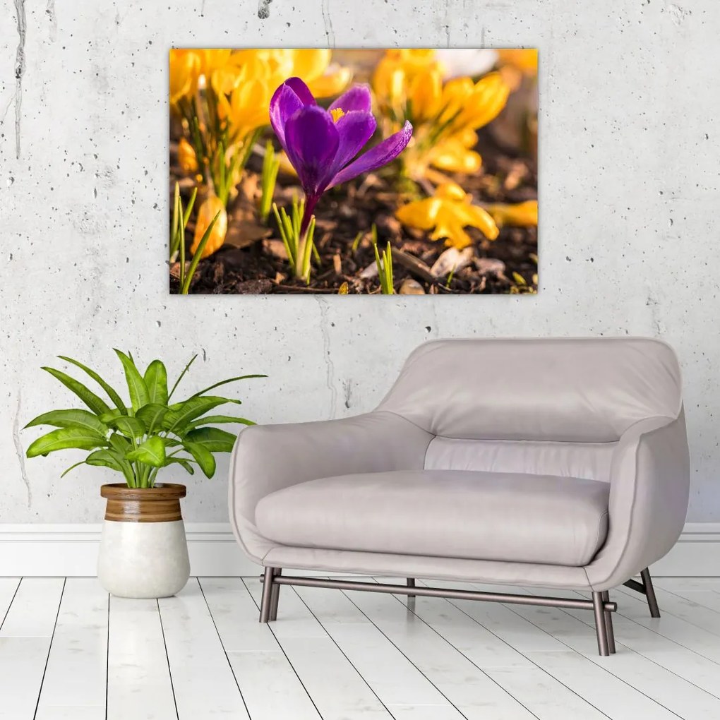 Tablou cu floare violetă (90x60 cm)
