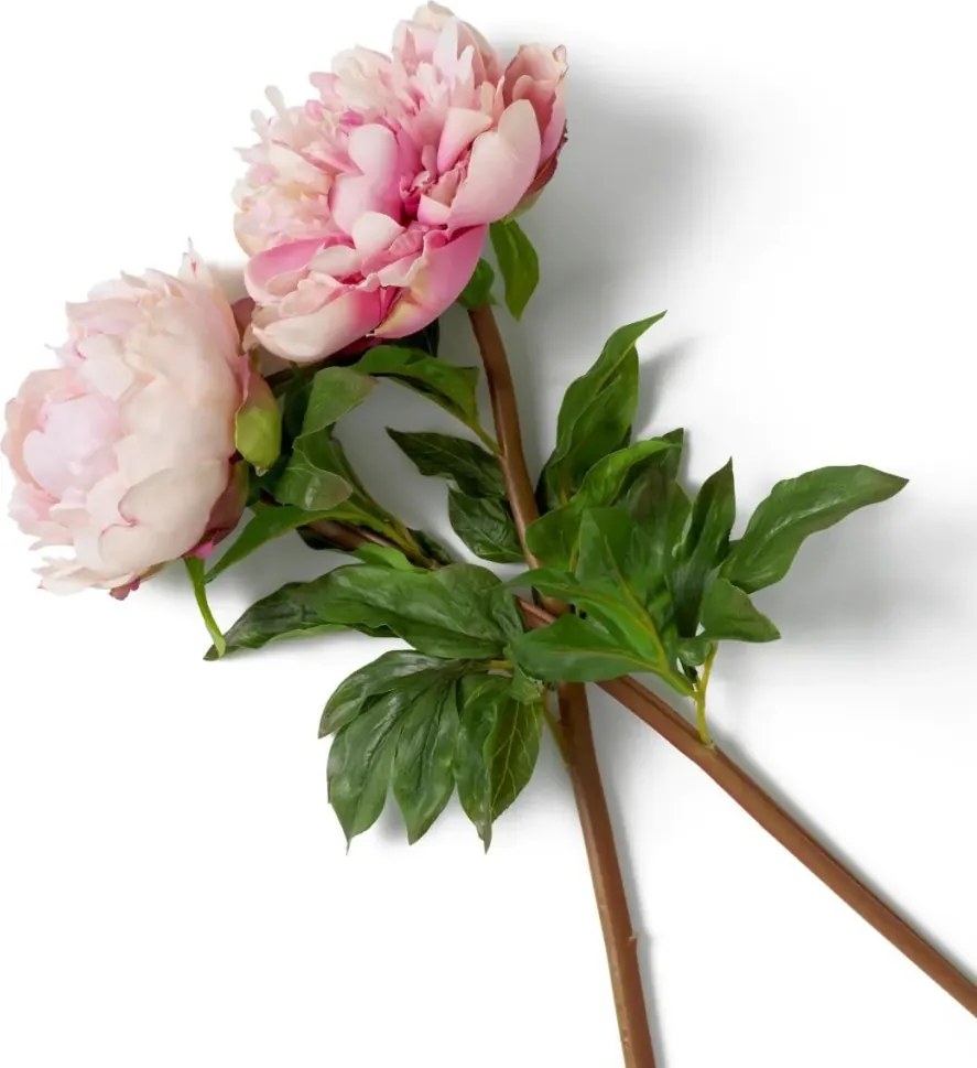Buchet artificial LUX din 48 de bujori roz, Peonies