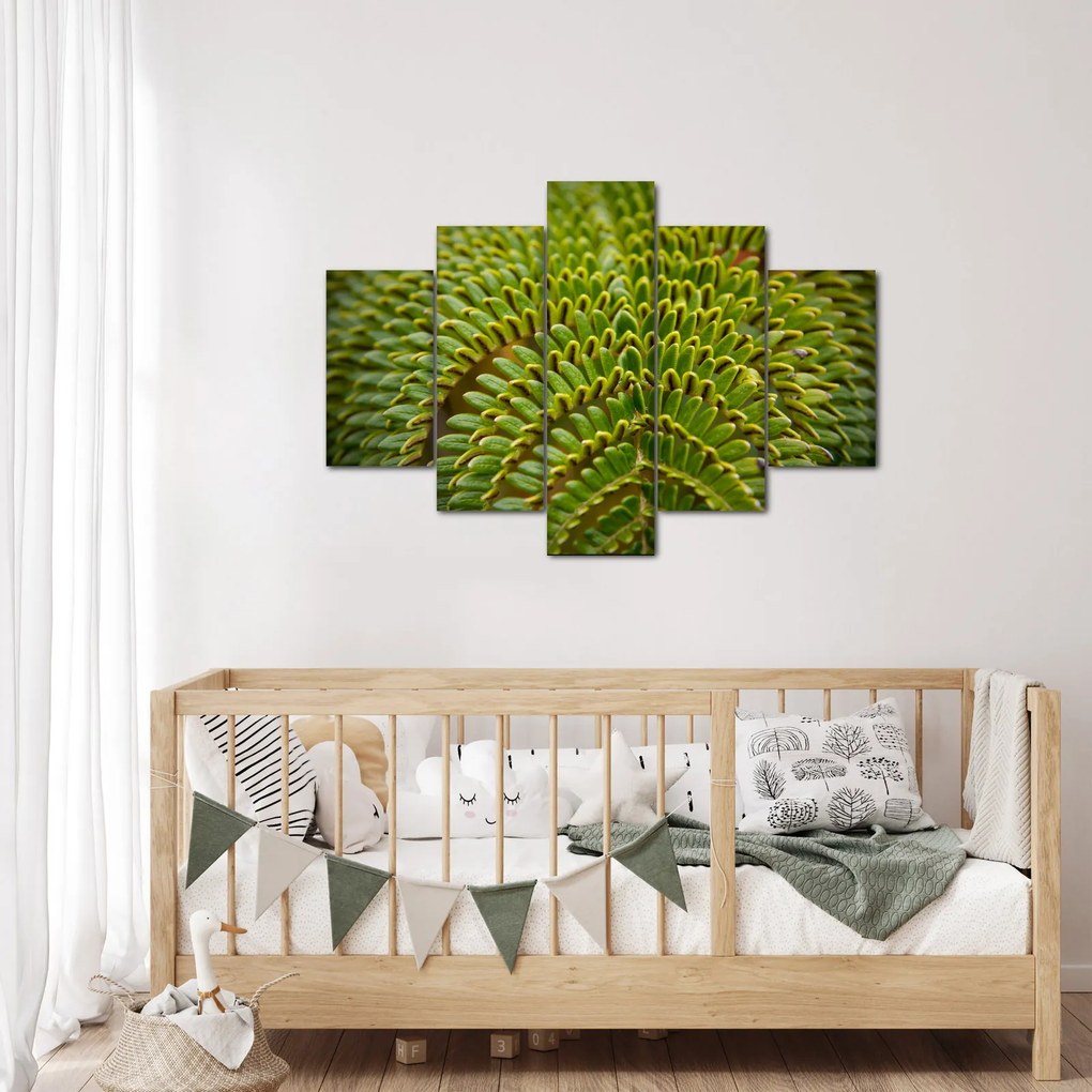 Tablou - Fern (150x105 cm)