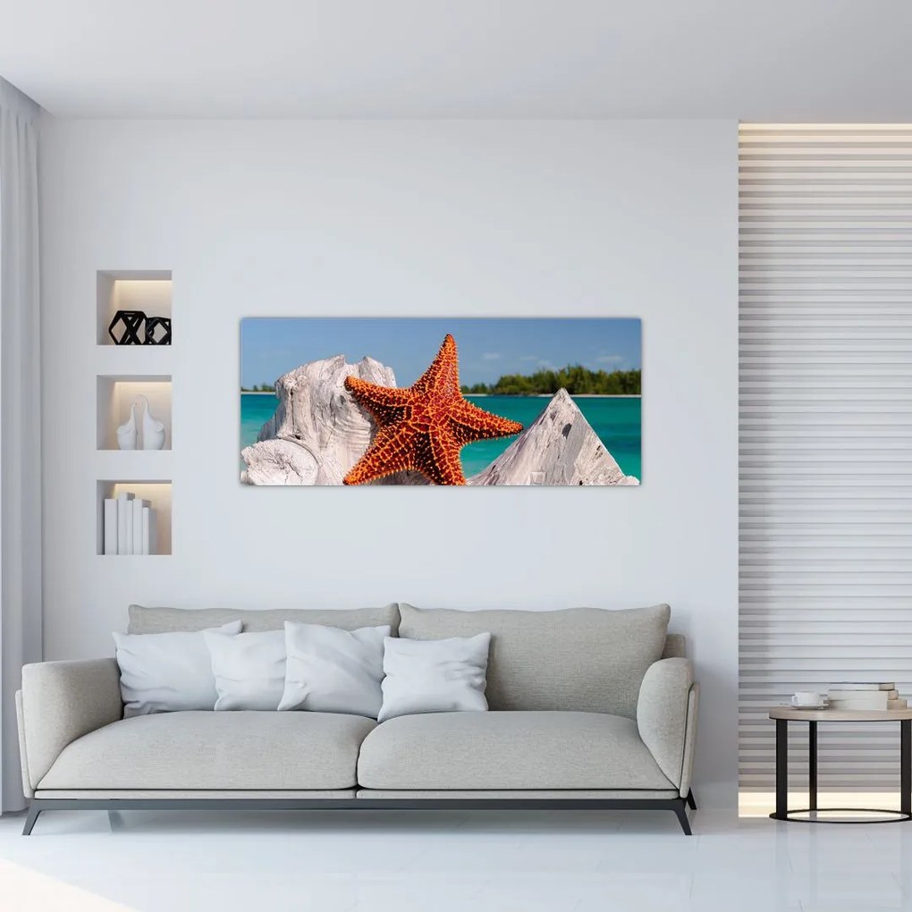 Tablou cu stea de mare (120x50 cm)