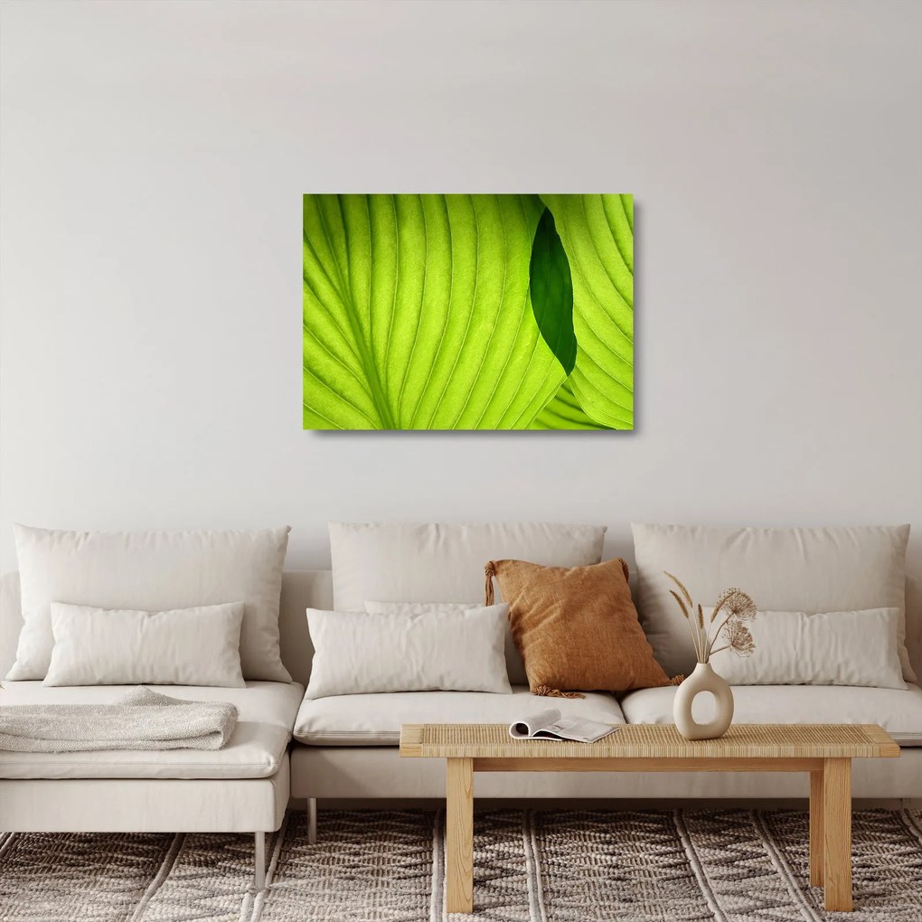 Tablou pe sticlă - Detaliu de frunză verde (70x50 cm)