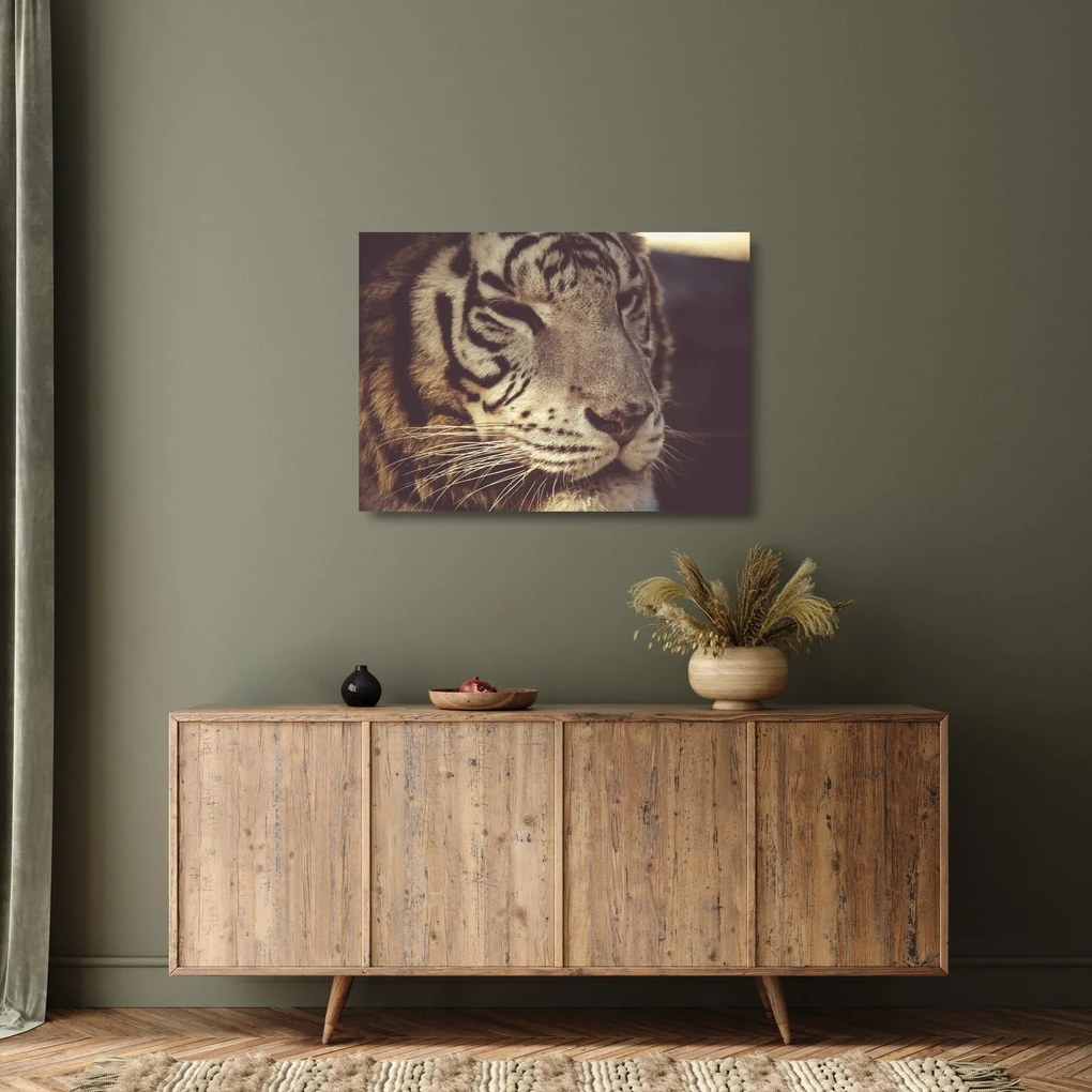 Tablou pe sticlă cu tigrul (70x50 cm)