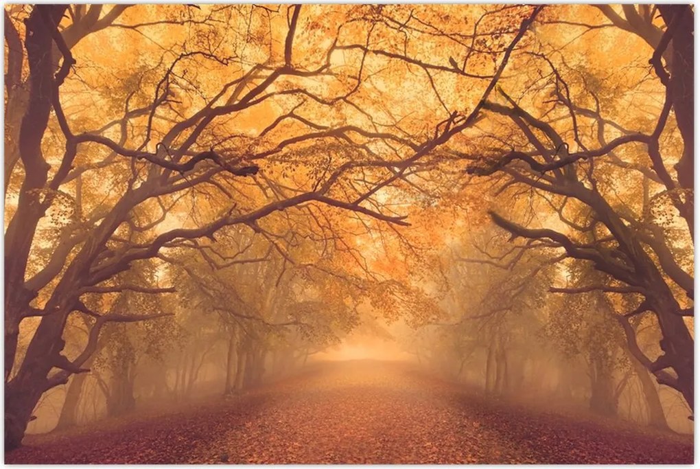 Tablou - Peisaj de toamnă cu drum (90x60 cm)