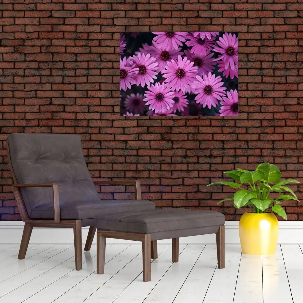 Tablou pe sticlă cu florile roz (70x50 cm)