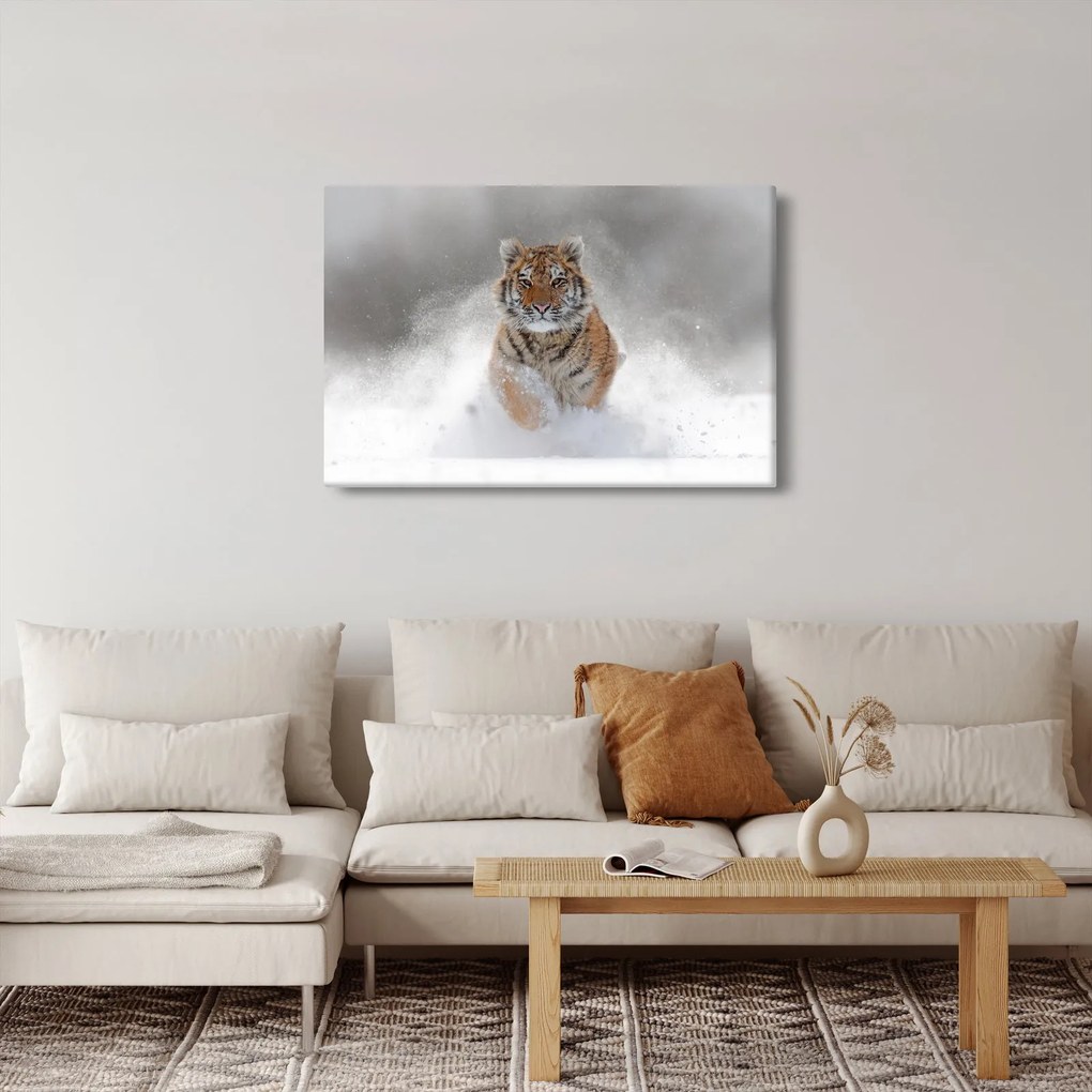 Tablou cutigru fugind prin zăpadă (90x60 cm)