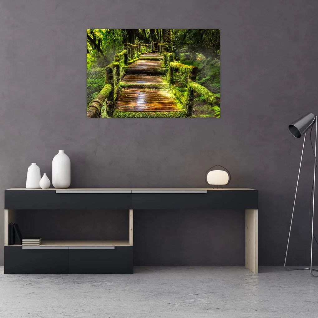 Tablou cu scări într-o pădure tropicală (90x60 cm)