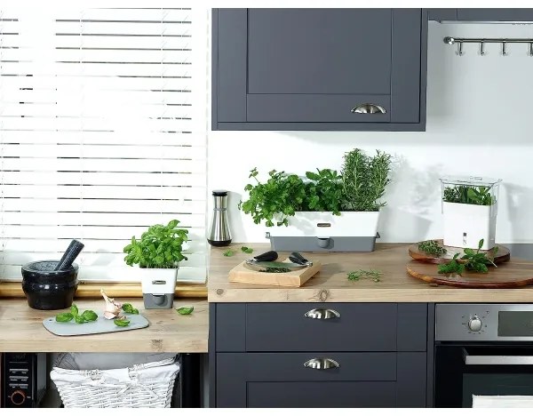 Cole&Mason - Recipient ulei și oțet HENLEY 260 ml