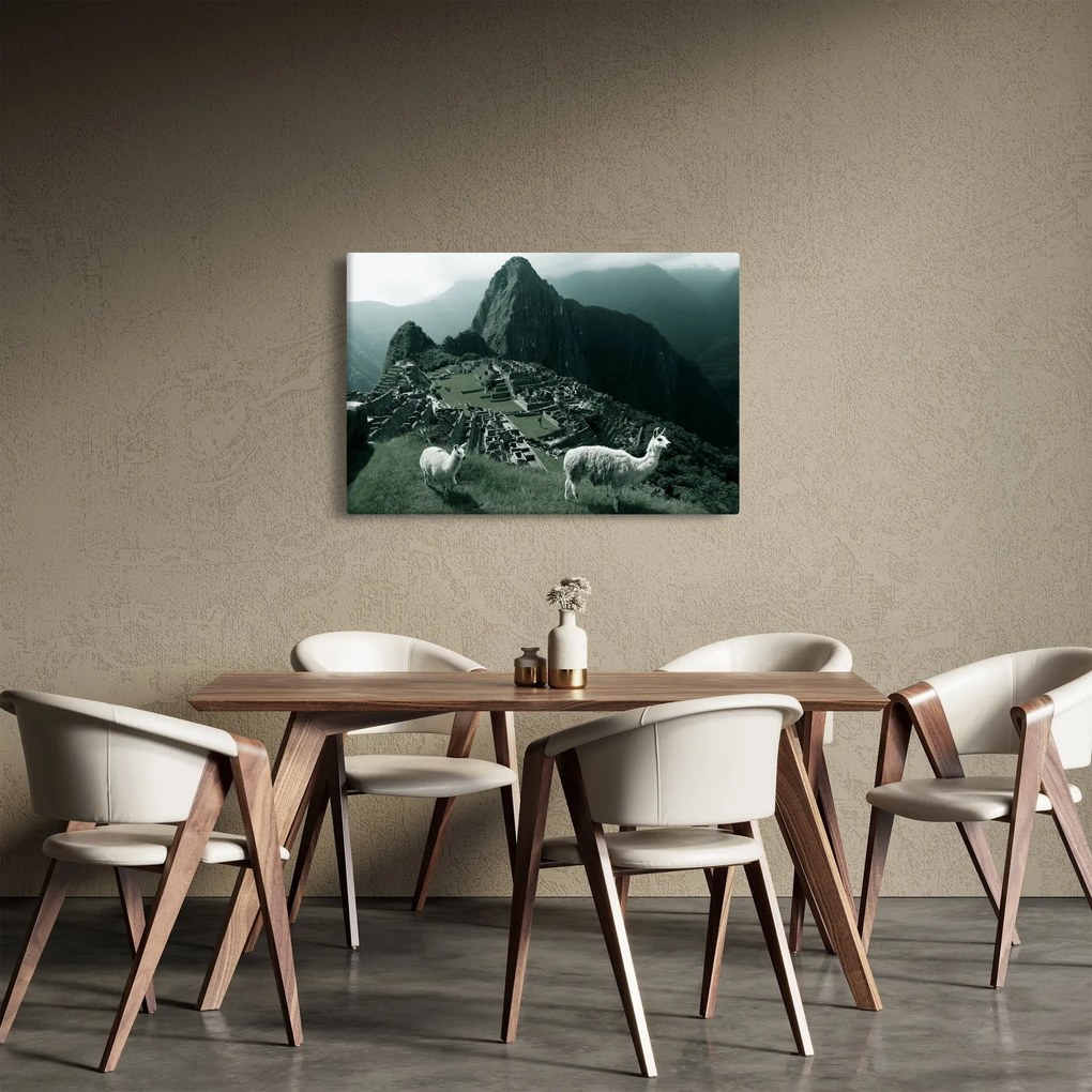Tablou - Lamas la Machu Picchu în Peru (90x60 cm)