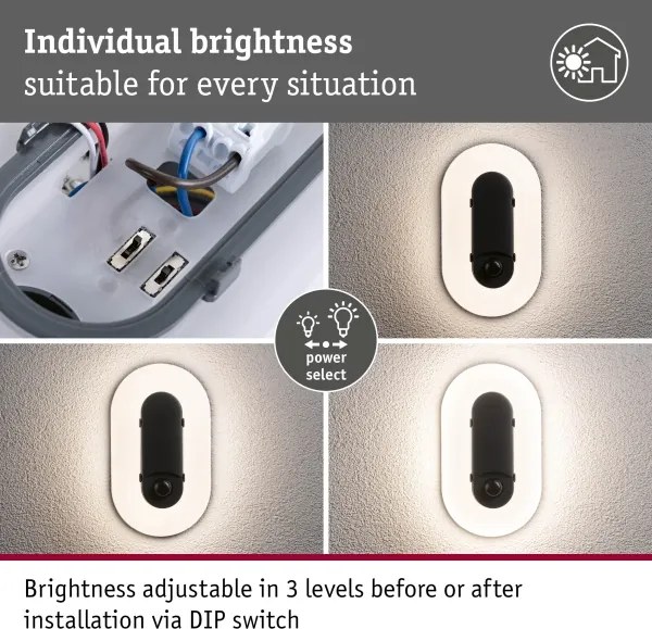 Paulmann 94958 - LED/18,5W IP65 Aplică de perete pentru exterior reglabilă ELUNOR 230V