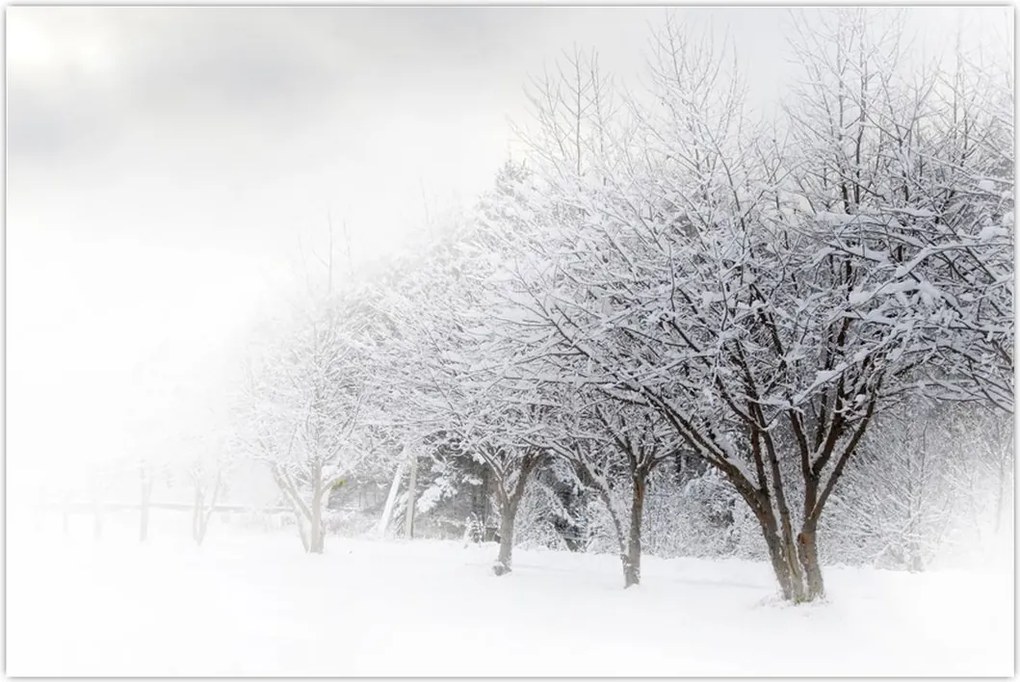 Tablou - Aleea de iarnă (90x60 cm)
