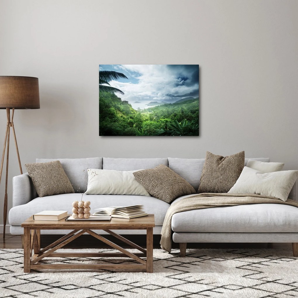 Tablou -Jungla din Seychelles (70x50 cm)